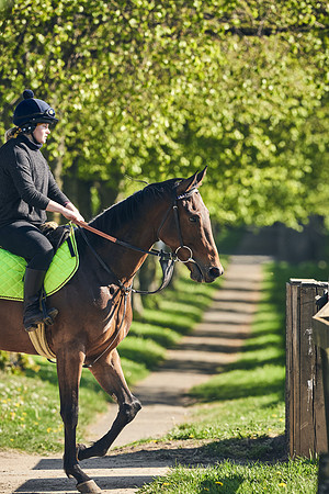 NEWMARKET-GALLOPS-22nd-APRIL-DJ-3854