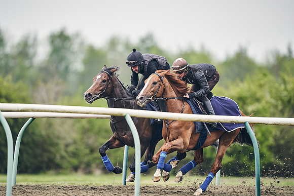 NEWMARKET-GALLOPS-25th-APRIL-DJ-0095