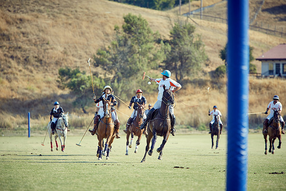 Oyster Cup Polo tournament