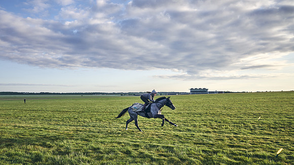 SUMMER GALLOPS-2nd-May-DJ-0760