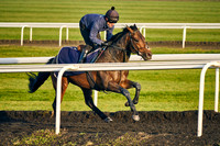 26th Mar 22 Warren Hill 004
