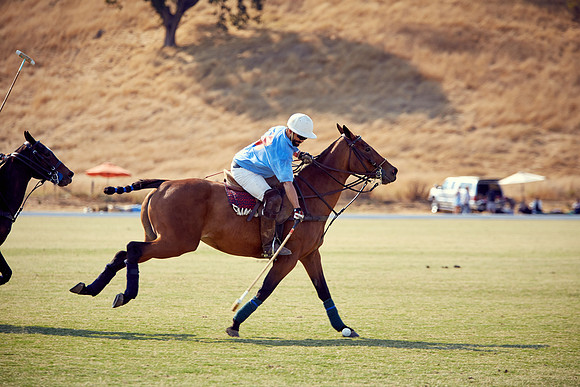 Oyster Cup Polo tournament