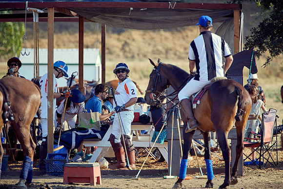Oyster Cup Polo tournament