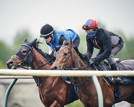 NEWMARKET-GALLOPS-25th-APRIL-DJ-0029