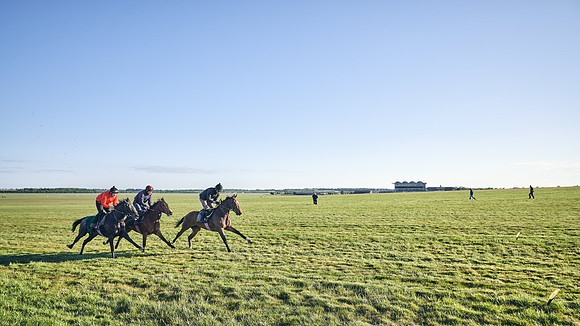 SUMMER GALLOPS-2nd-May-DJ-1231