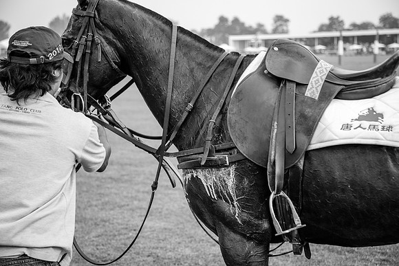 Royal Salute Gold Cup 2012 China Polo Open Tournament