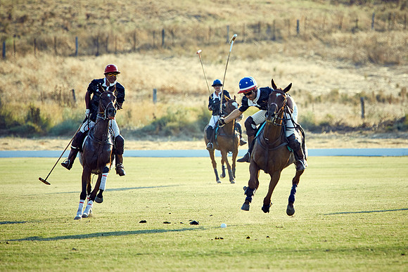 Oyster Cup Polo tournament