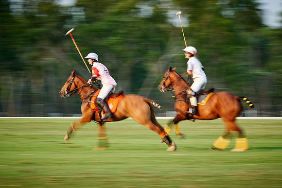 THAI-PINK-POLO-2019_DJ_3440