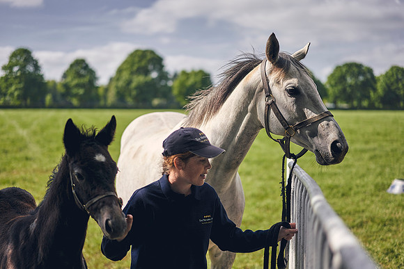 The-National-Stud-Dominic-James_DOM9499
