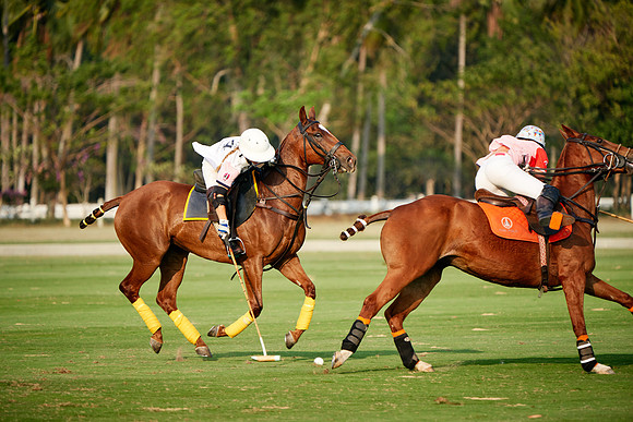 THAI-PINK-POLO-2019_DJ_2967