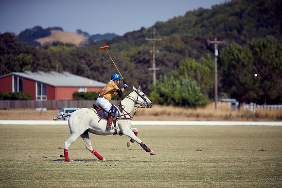 Oyster Cup Polo tournament