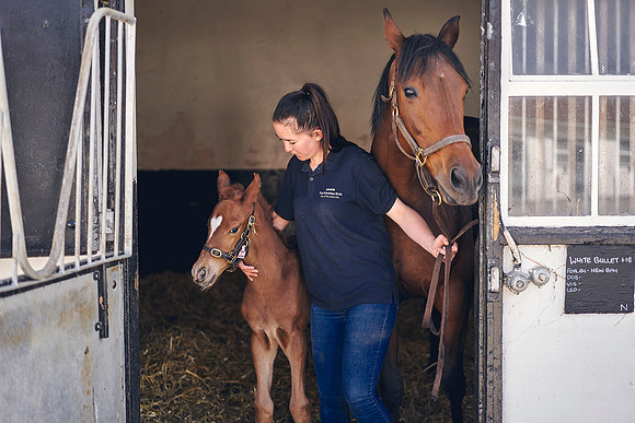The-National-Stud-Dominic-James_DOM9787