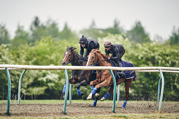 NEWMARKET-GALLOPS-25th-APRIL-DJ-0091