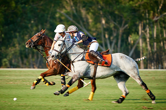 THAI-PINK-POLO-2019_DJ_5112