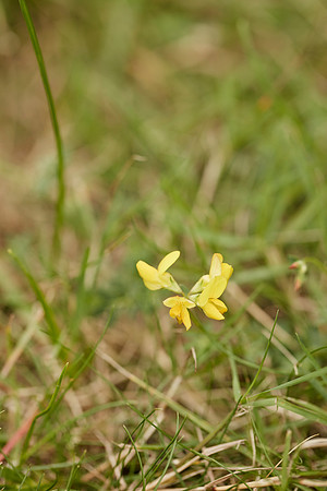 _OM_3042.CR2