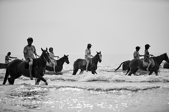_DSC2728.ARW