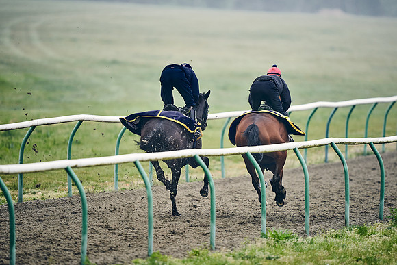 NEWMARKET-GALLOPS-24nd-APRIL-DJ-0387