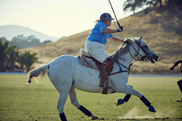 Oyster Cup Polo tournament