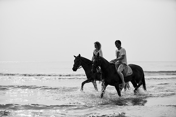 _DSC2925.ARW