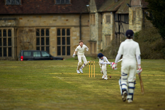 20130411-cricket-AG3A6747