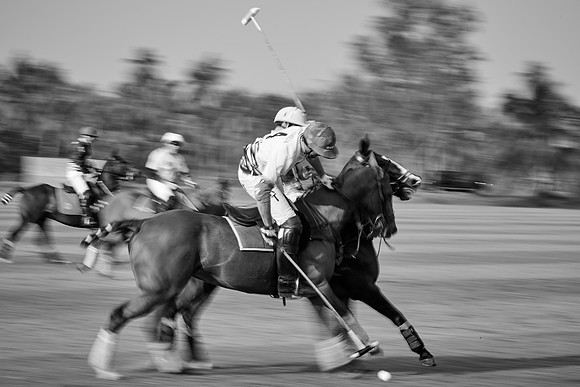 THAI-POLO-OPEN-2019_DJ_0499