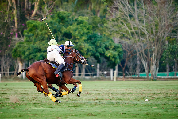 THAI-PINK-POLO-2019_DJ_5619