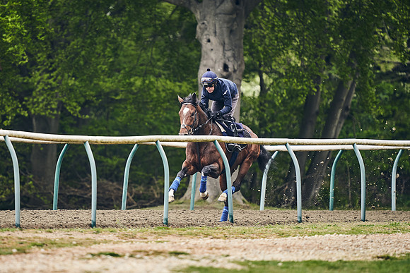NEWMARKET-GALLOPS-25th-APRIL-DJ-0049