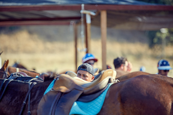Oyster Cup Polo tournament