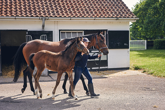 The-National-Stud-Dominic-James_DOM9535