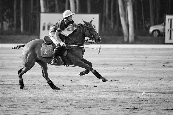 THAI-POLO-OPEN-2019_DJ_0993