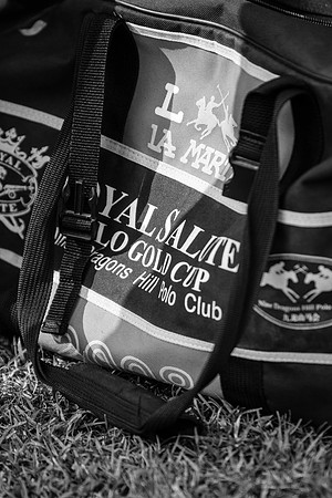 Royal Salute Gold Cup 2012 China Polo Open Tournament