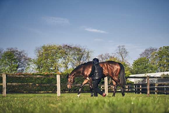 GEORGE-BOUGHEY-RACING-DJ-1135