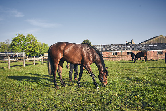 GEORGE-BOUGHEY-RACING-DJ-1268