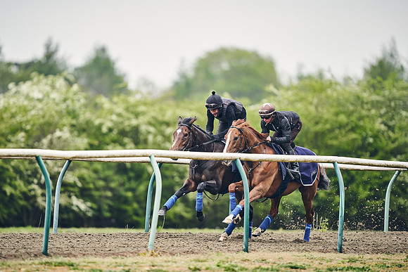 NEWMARKET-GALLOPS-25th-APRIL-DJ-0089