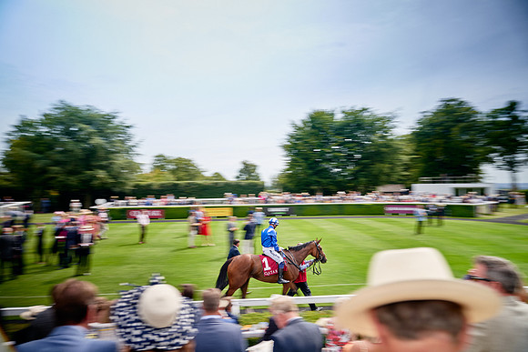 QGF2019_DominicJames-09278