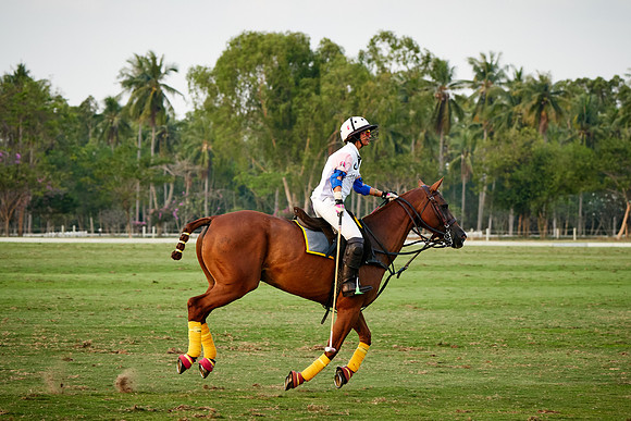 THAI-PINK-POLO-2019_DJ_5522