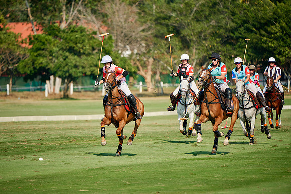 THAI-PINK-POLO-2019_DJ_4537