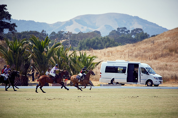 Oyster Cup Polo tournament