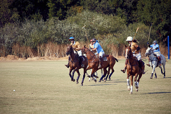Oyster Cup Polo tournament