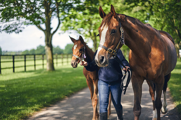The-National-Stud-Dominic-James_DOM9687