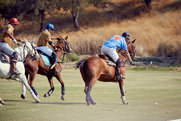 Oyster Cup Polo tournament