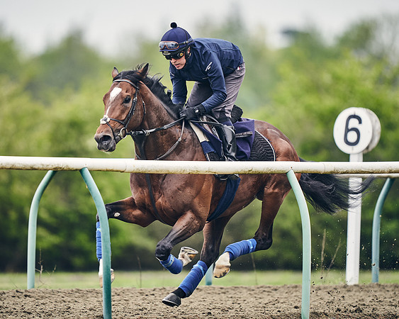 NEWMARKET-GALLOPS-25th-APRIL-DJ-0064