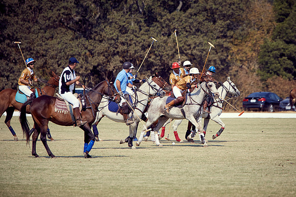Oyster Cup Polo tournament