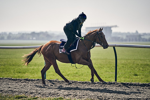 GEORGE-BOUGHEY-RACING-DJ-3339