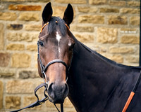 023 Ed Bethell