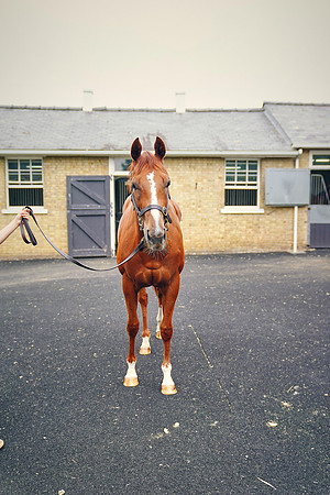 2021-07-23-Dominic-James-0382