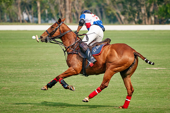 THAI-POLO-OPEN-2020-01-17-Dominic-James_DJ97341.ARW1691