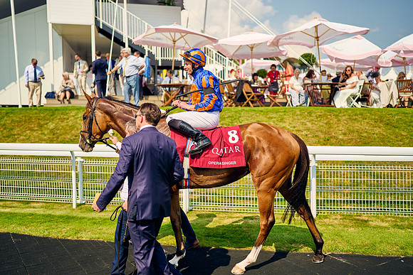 QGF2024_DominicJames_15865