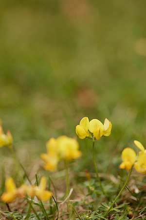 _OM_3039.CR2