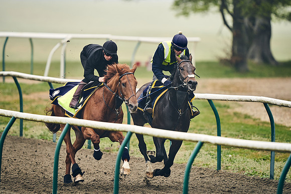 NEWMARKET-GALLOPS-24nd-APRIL-DJ-0247